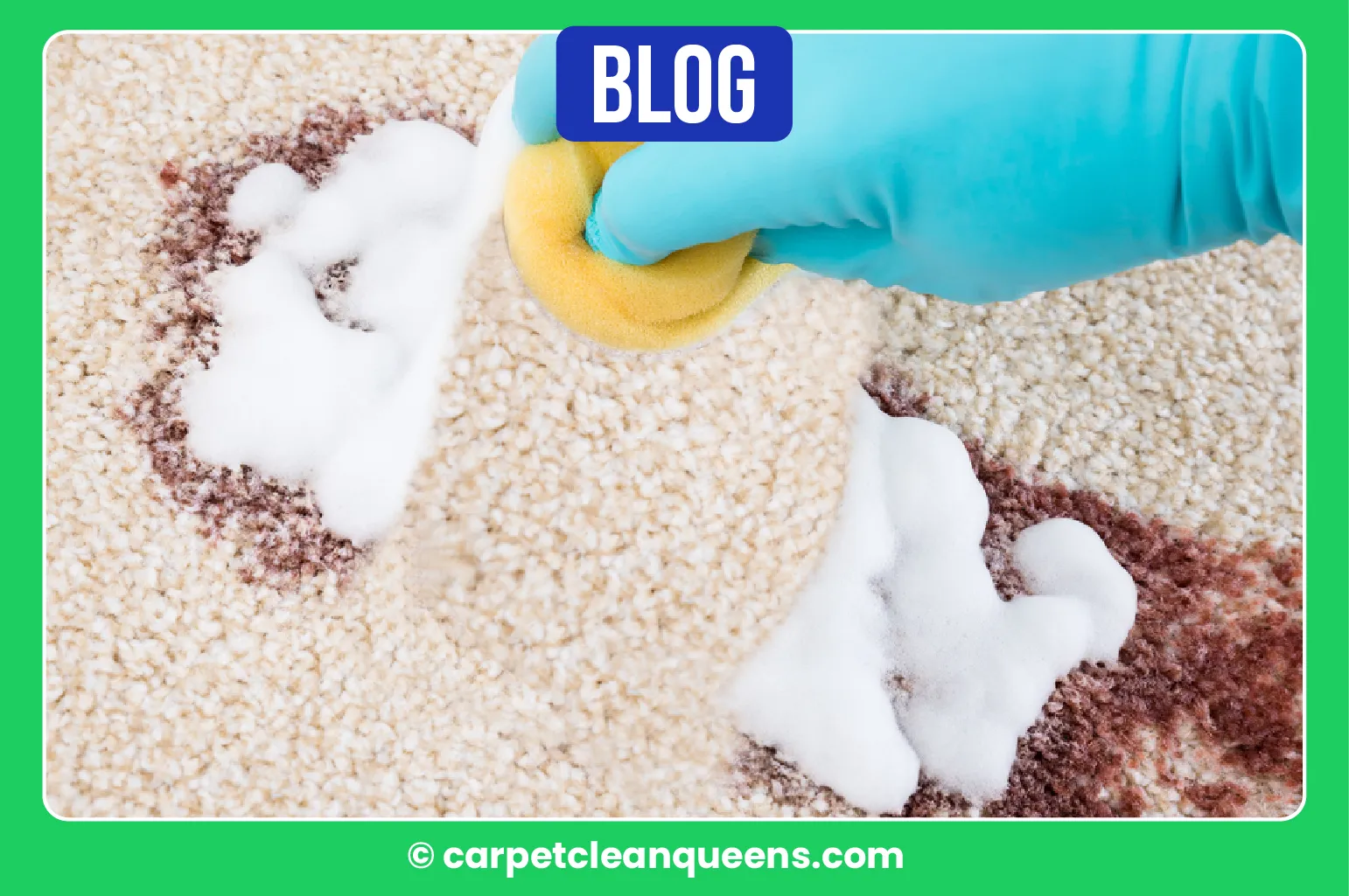 carpet cleaning in queens, carpet cleaning queens, carpet cleaners in queens, carpet cleaners in queens, commercial carpet cleaning, commercial carpet cleaning in queens, queens rug cleaners, rug cleaning services in queens, same day carpet cleaning, same day rug cleaning in queens