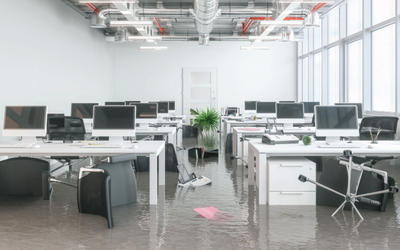 carpet cleaning in queens, carpet cleaning queens, carpet cleaners in queens, carpet cleaners in queens, commercial carpet cleaning, commercial carpet cleaning in queens, queens rug cleaners, rug cleaning services in queens, same day carpet cleaning, same day rug cleaning in queens