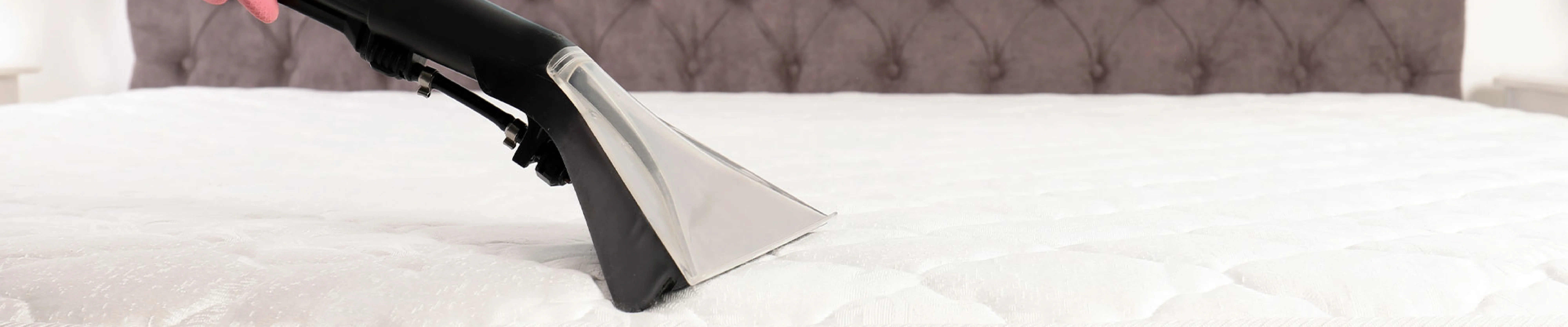 carpet cleaning in queens, carpet cleaning queens, carpet cleaners in queens, carpet cleaners in queens, commercial carpet cleaning, commercial carpet cleaning in queens, queens rug cleaners, rug cleaning services in queens, same day carpet cleaning, same day rug cleaning in queens