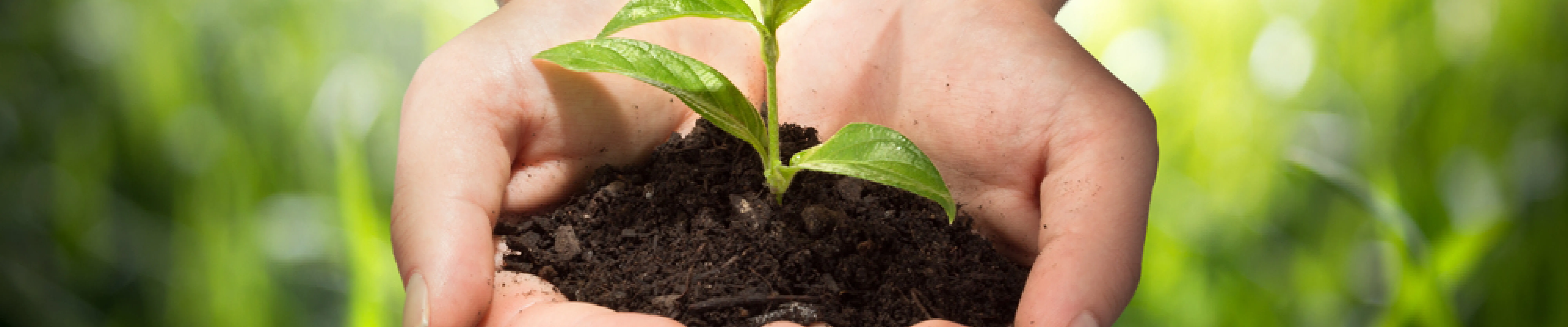 carpet cleaning in queens, carpet cleaning queens, carpet cleaners in queens, carpet cleaners in queens, commercial carpet cleaning, commercial carpet cleaning in queens, queens rug cleaners, rug cleaning services in queens, same day carpet cleaning, same day rug cleaning in queens